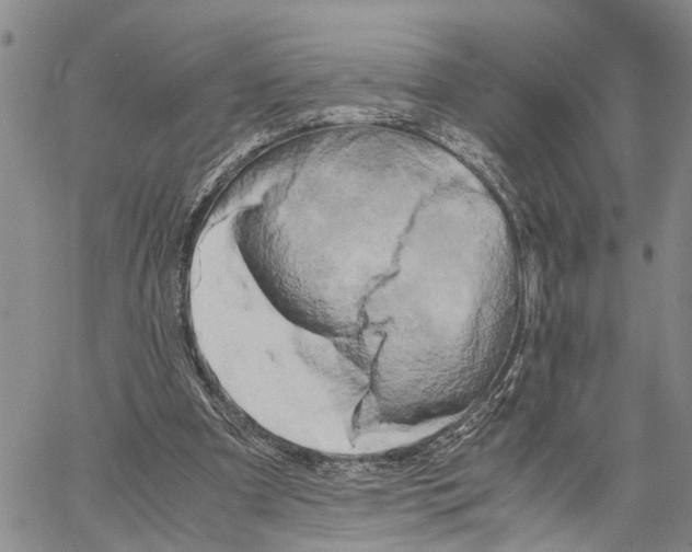 X0000060570297200512011714