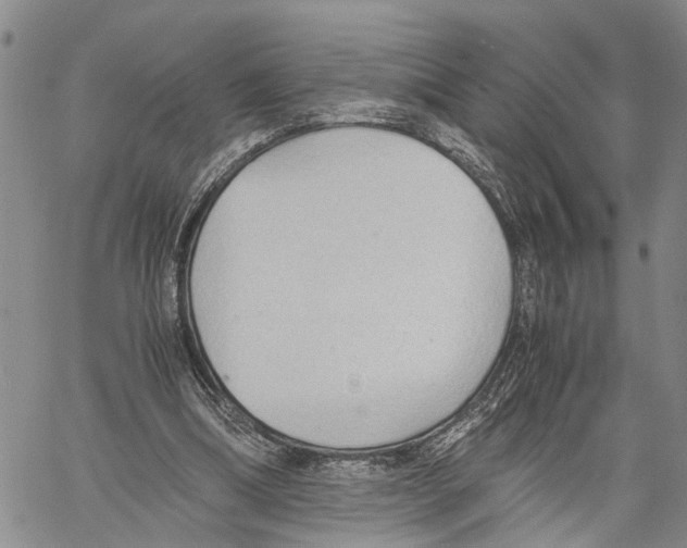 X0000060570298200512011714