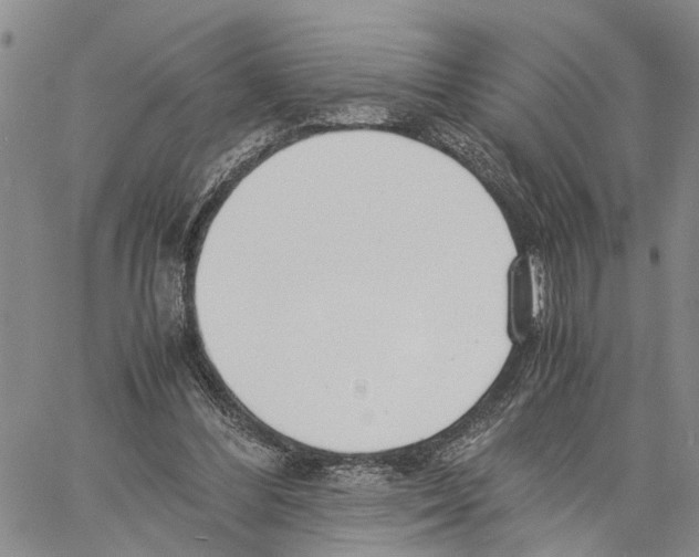 X0000060570300200512011714