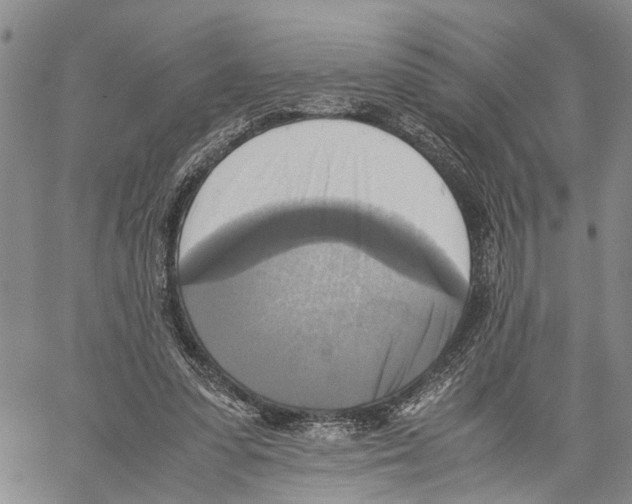 X0000060570303200512011714
