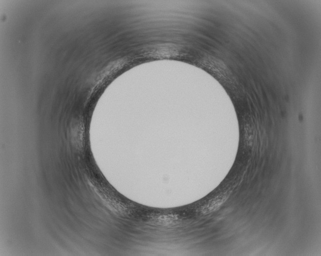 X0000060570304200512011714