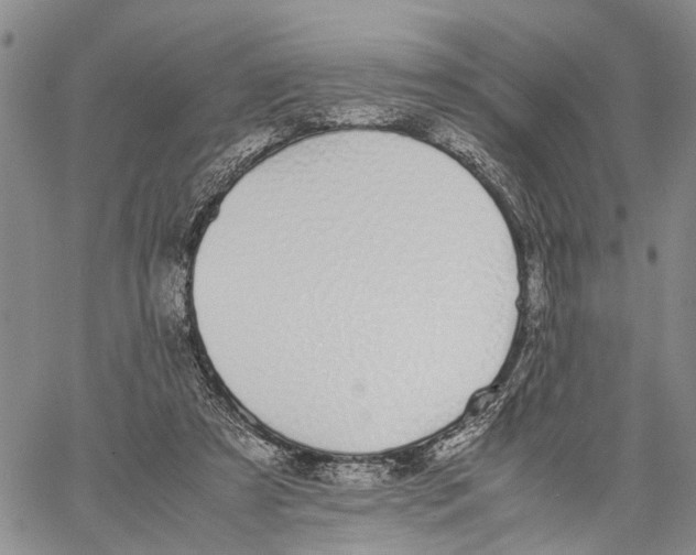 X0000060570305200512011714
