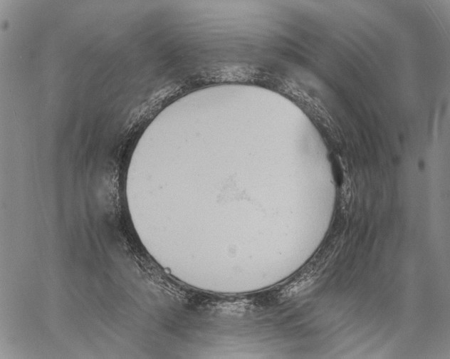 X0000060570306200512011714