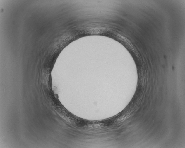 X0000060570307200512011714