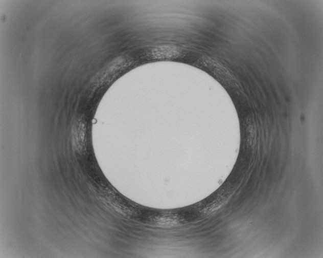 X0000060570308200512011714