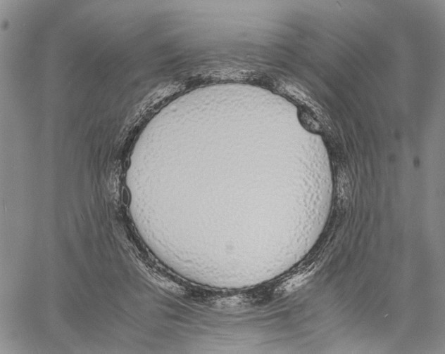X0000060570309200512011714