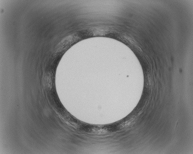 X0000060570311200512011714