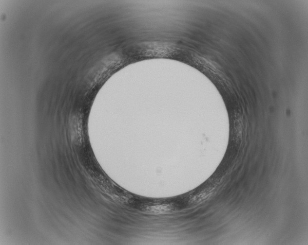X0000060570312200512011714