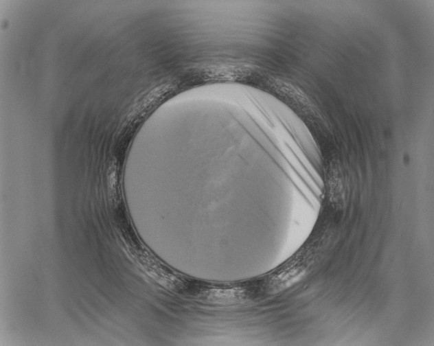 X0000060570314200512011714
