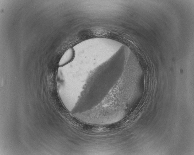 X0000060570319200512011714