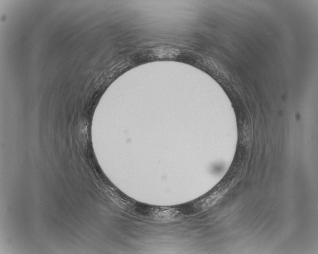 X0000060570321200512011714