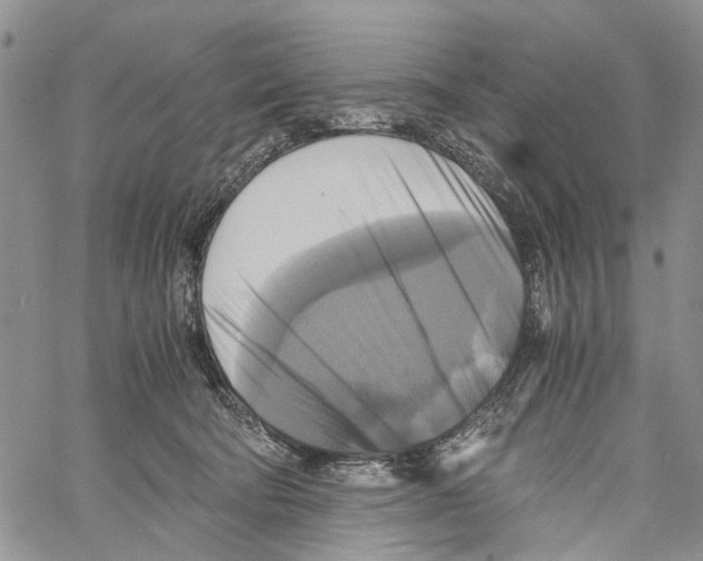 X0000060570322200512011714
