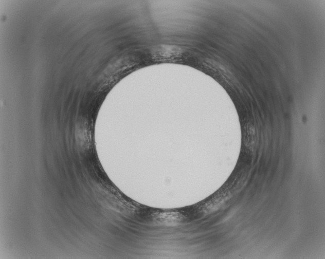 X0000060570324200512011714