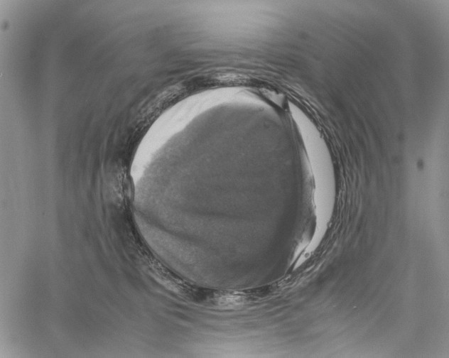 X0000060570325200512011714