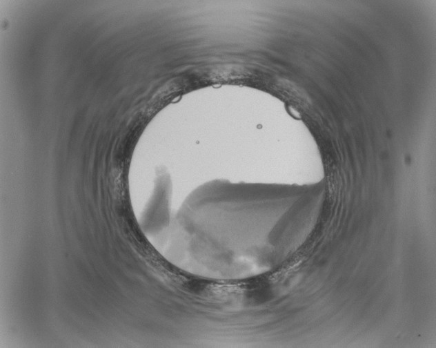 X0000060570327200512011714