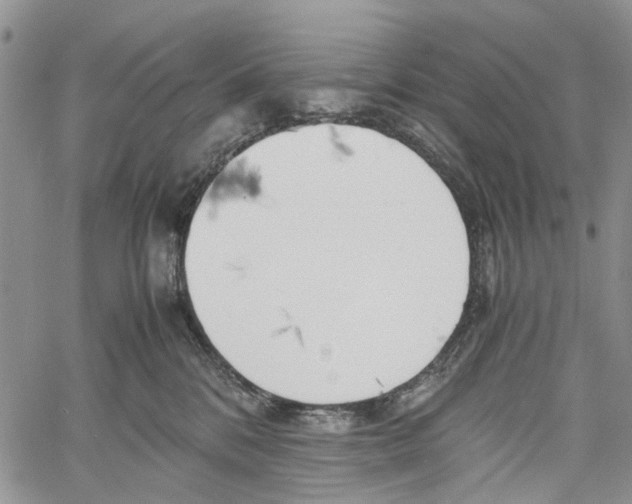 X0000060570328200512011714