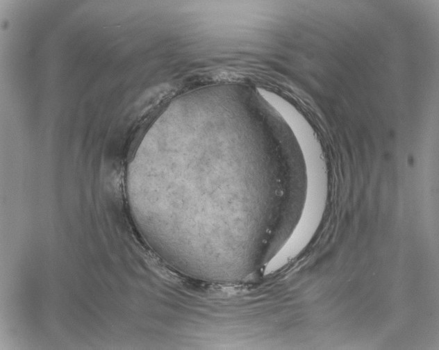 X0000060570329200512011714