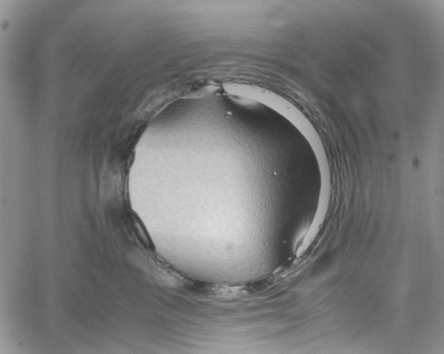 X0000060570333200512011714
