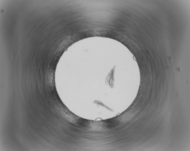 X0000060570336200512011714