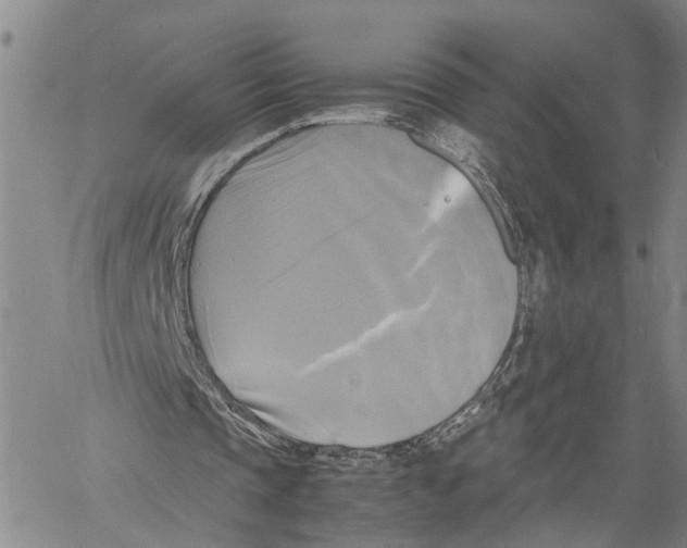 X0000060570337200512011713
