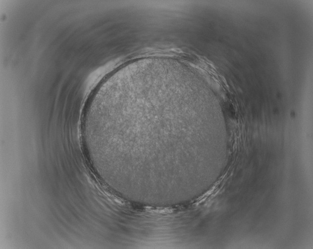 X0000060570340200512011713