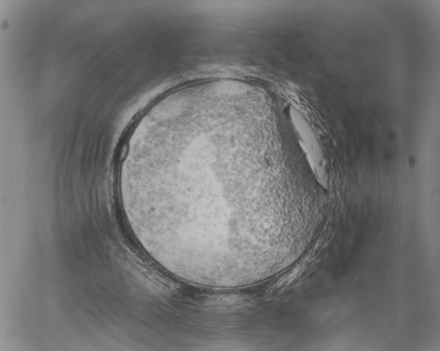 X0000060570342200512011713