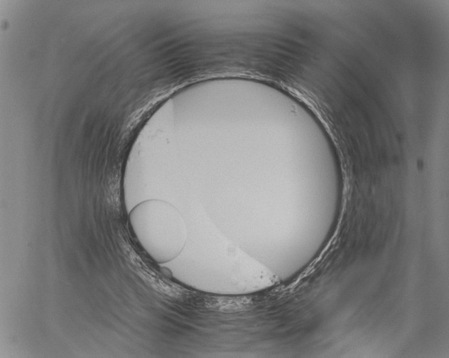 X0000060570345200512011713