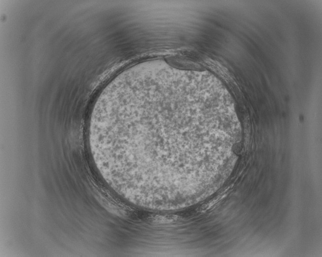 X0000060570346200512011713
