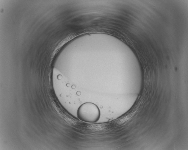 X0000060570349200512011713