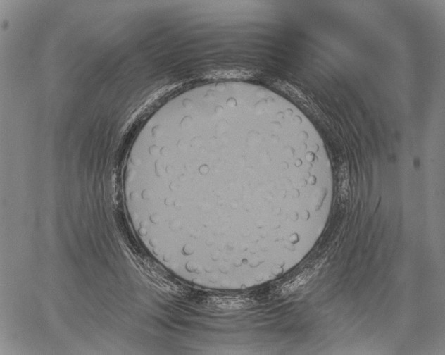 X0000060570351200512011713
