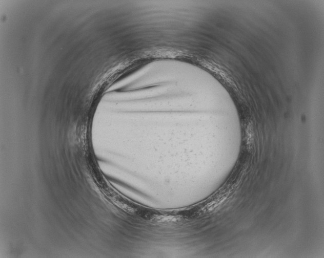 X0000060570352200512011713