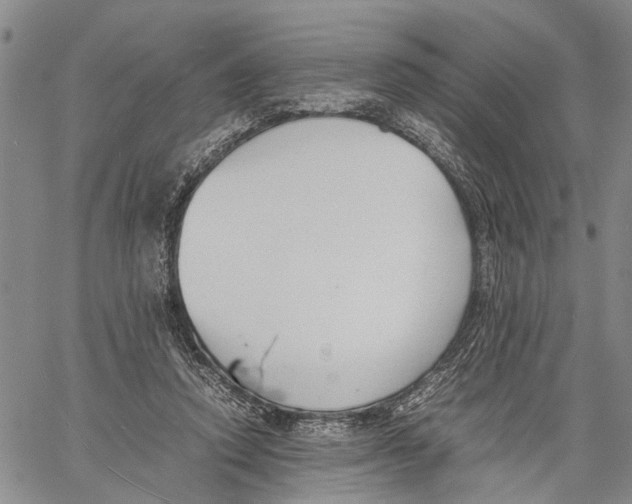 X0000060570354200512011713