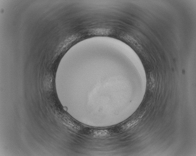 X0000060570355200512011713