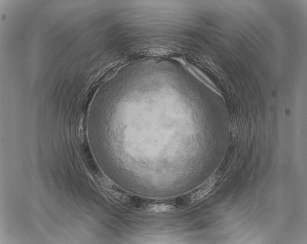 X0000060570360200512011713