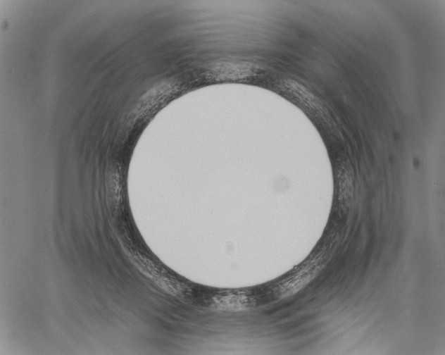 X0000060570362200512011713