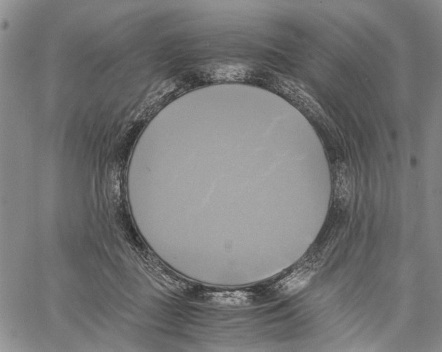 X0000060570363200512011713