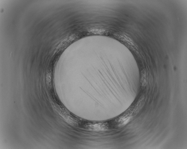 X0000060570365200512011713