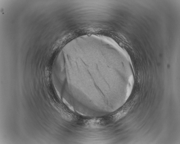 X0000060570366200512011713