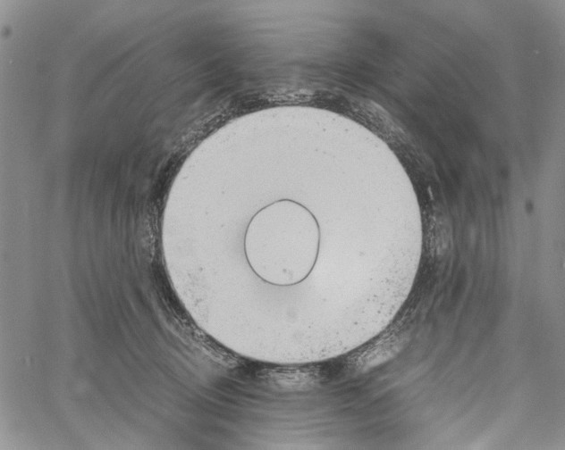 X0000060570370200512011713