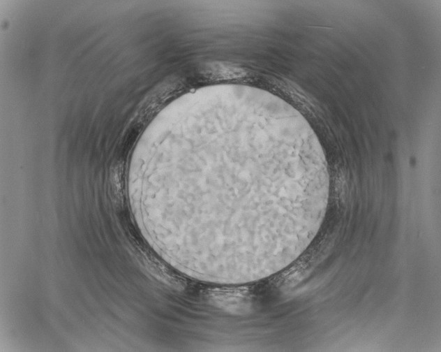 X0000060570373200512011713