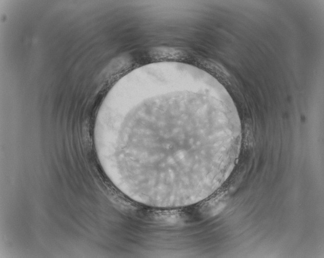 X0000060570377200512011713