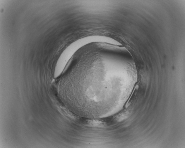 X0000060570380200512011713