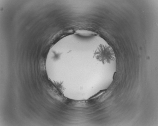 X0000060570384200512011714