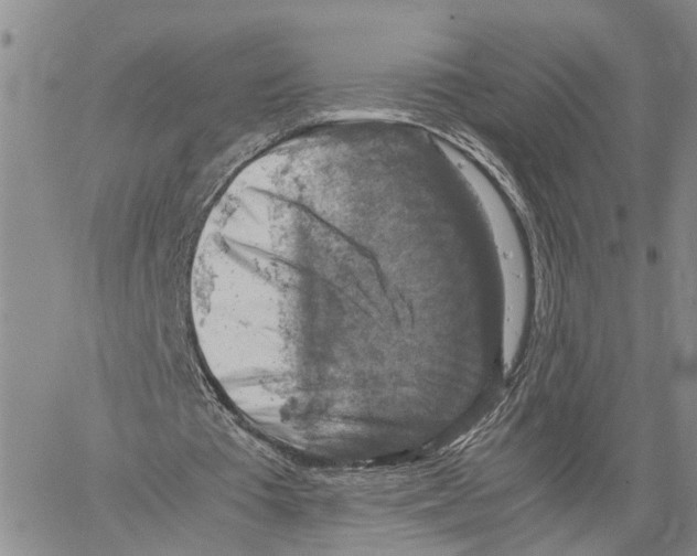 X0000060570385200512011713