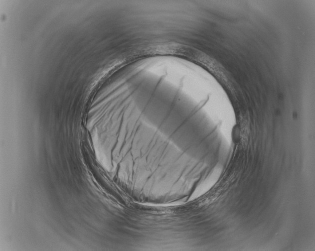 X0000060570386200512011713