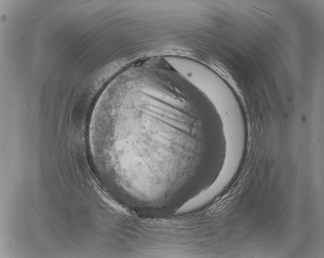X0000060570389200512011713