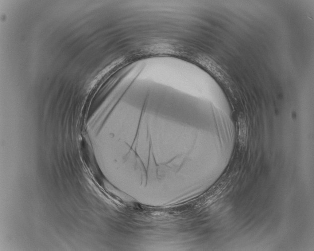 X0000060570390200512011713
