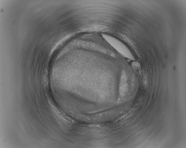 X0000060570392200512011713