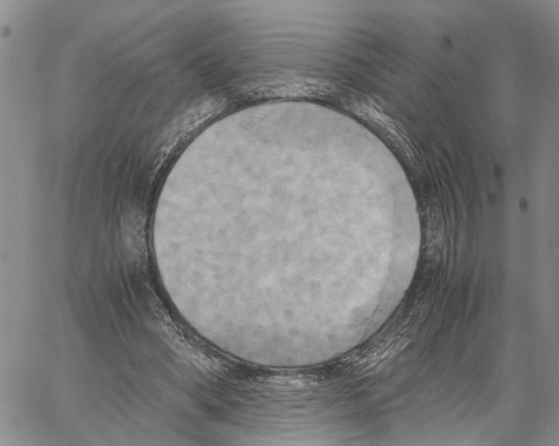 X0000060570394200512011713