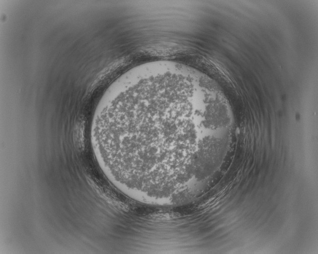 X0000060570404200512011712